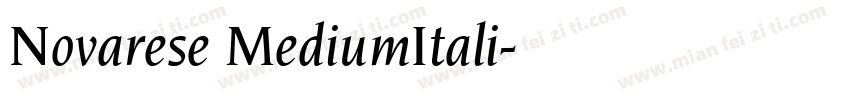 Novarese MediumItali字体转换
